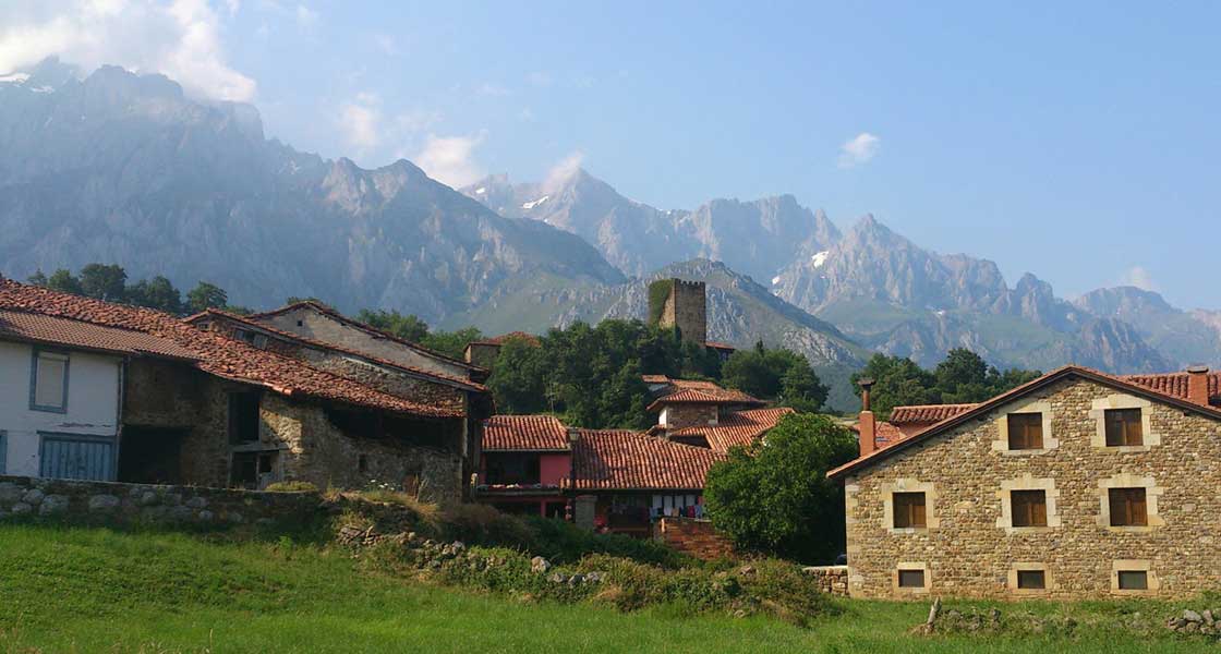 Home